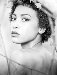 2025年澳门跑狗图正版下载-全面解说 2025年澳门跑狗图正版下载-全面解说