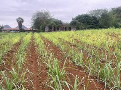 中央气象台:全国农业气象月报(2025年05月03日)