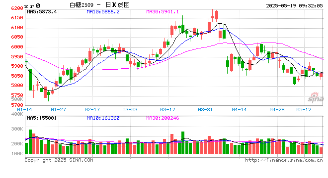 光大期货软商品类日报5.19
