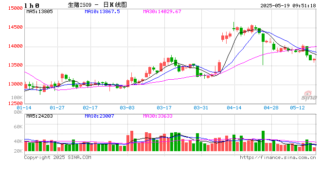 【市场聚焦】生猪:底部支撑仍存