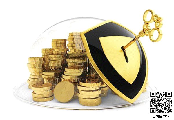 如何准确把握金融领域的各类定义？这些定义在实际操作中有何作用？