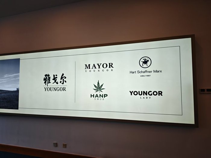 直击雅戈尔股东大会：董事长李如成回应业绩下滑、转型收购