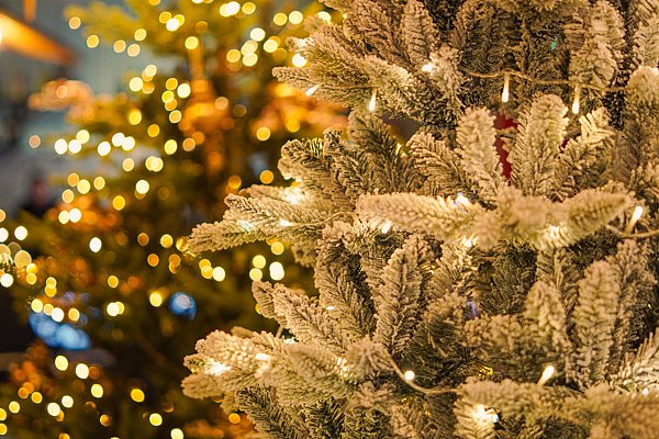 美国商家等待义乌“拯救”今年圣诞季