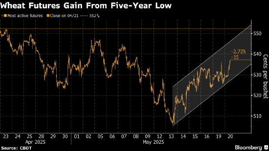 小麦价格上涨 因有迹象显示主要进口国兴趣重燃