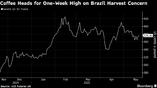 阿拉比卡咖啡延续涨势 因市场担忧巴西产量