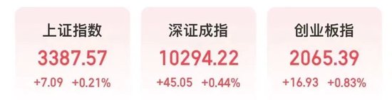 600610，盘中“天地板”！热榜第一