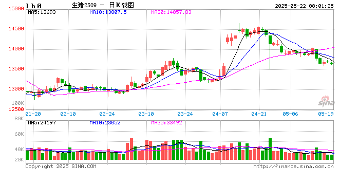 【生猪】高温抑制消费叠加供给放量 延续供需宽松格局