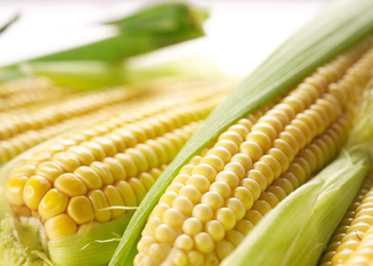 如何计算一手CBOT玉米保证金金额？保证金受哪些因素影响？