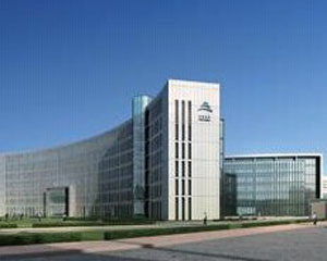 如何理解生物特定部位的科学术语？海豚嘴巴相关术语有何含义？