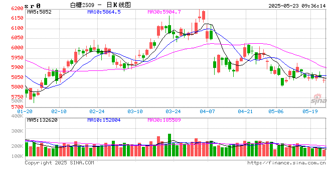 光大期货软商品类日报5.23