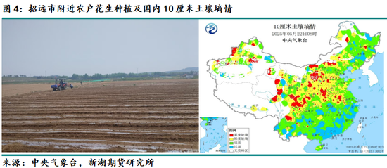 新湖农产（油脂）专题：山东花生产区调研报告