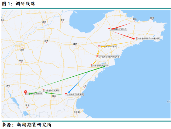 山东花生产区调研报告