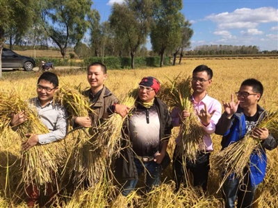 如何申请农民低保？申请农民低保需要什么条件？