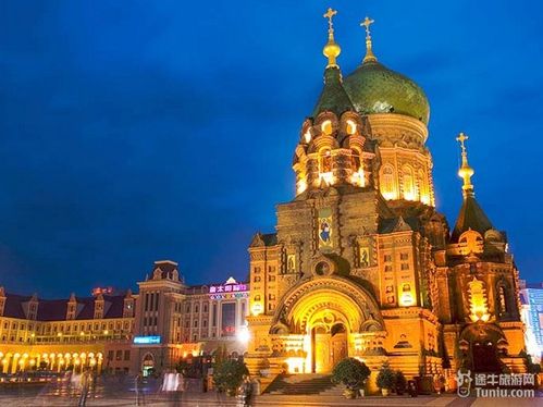 如何办理哈尔滨医保续保？哈尔滨医保续保办理有哪些流程？