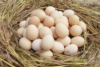 鸡蛋期货的含义是什么？其交易规则有哪些？