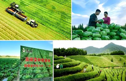 康师傅的“价值战”答卷：一碗面的创新与担当