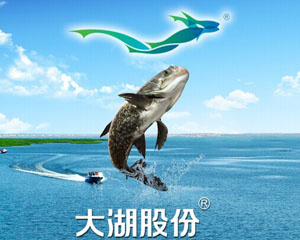 如何准确把握限售股质押的定义？限售股质押会带来哪些影响？