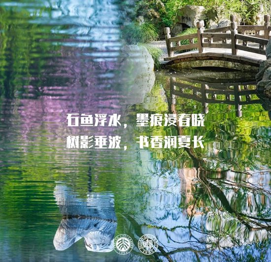 北大祝复旦，120岁生日快乐！