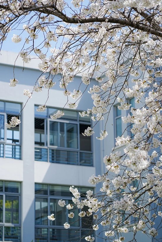 北大祝复旦，120岁生日快乐！