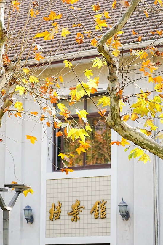 北大祝复旦，120岁生日快乐！