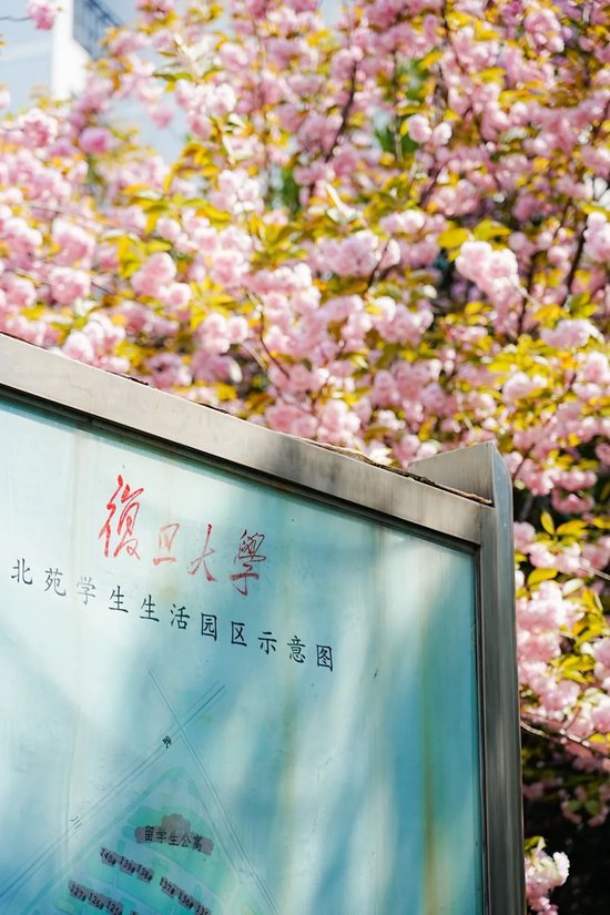 北大祝复旦，120岁生日快乐！