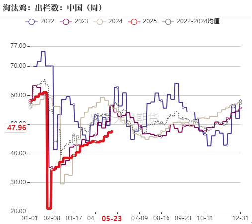 鸡蛋：何处才是底，何时见曙光？