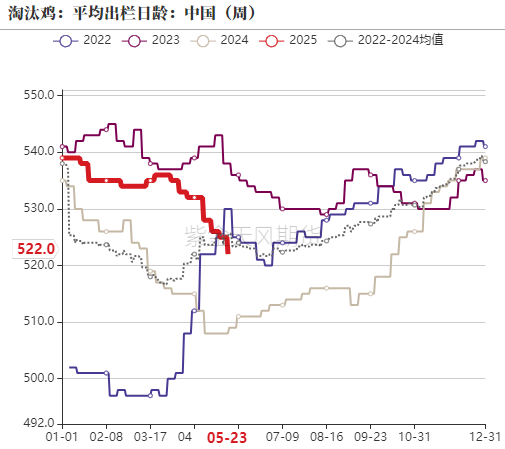鸡蛋：何处才是底，何时见曙光？