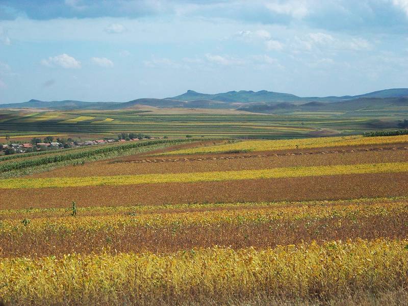 如何确定大豆期货挂盘合约数量？数量设定对市场有何影响？