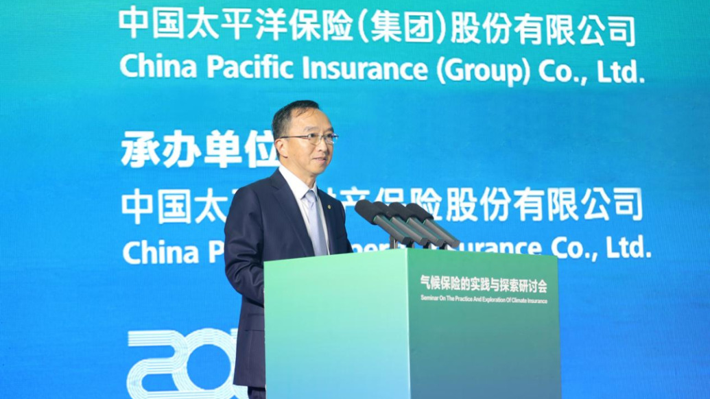 中国太保董事长：已将巨灾保险作为重点战略领域，全力打造完整解决方案