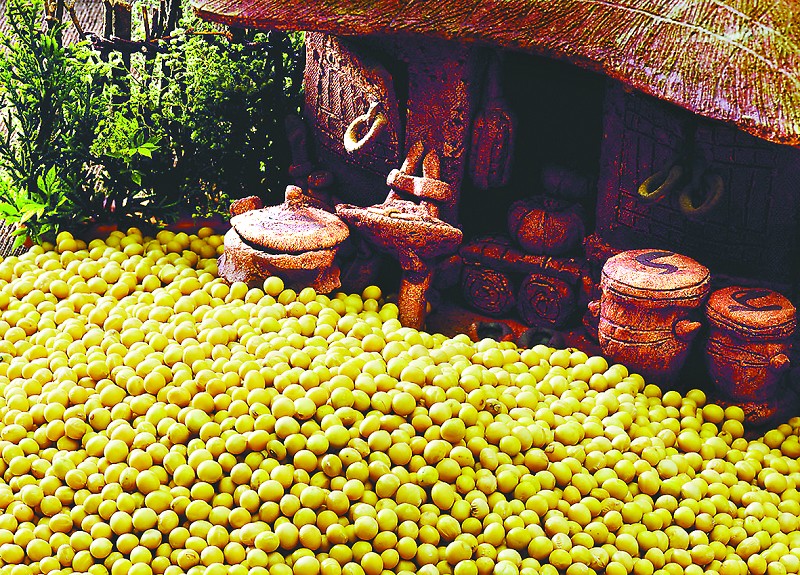 如何分析期货大豆市场价格走势？价格变动对产业链有何影响？