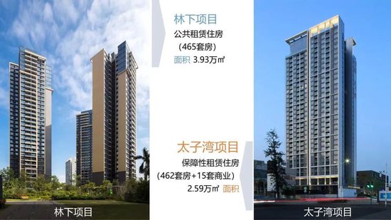 圆满结束！招商基金蛇口租赁住房REIT首个开放日，与五湖四海投资者共探当下和未来