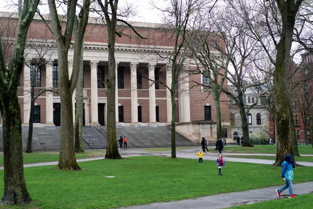 哈佛，跪不跪？