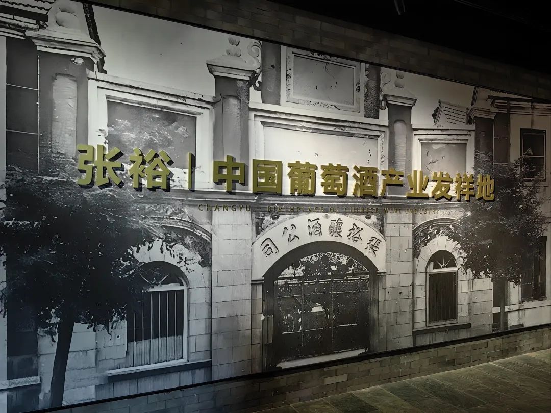 张裕总经理孙健直面困境：战略失误与市场脱节导致业绩大跌