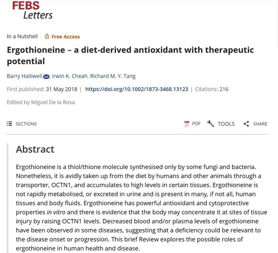 002422，75岁董事长“裸衣”代言，争议何来？