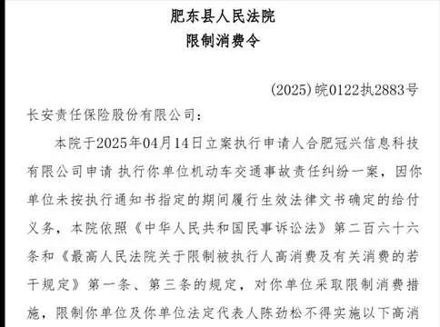 长安保险再收限消令：险企经营困局何时破？