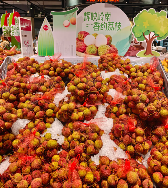 重生的TA | 一颗荔枝的轮回:从“靠天吃饭”到科技丰产