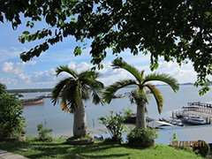 如何界定橡胶期货的所属体系？该体系对其价格有何影响？