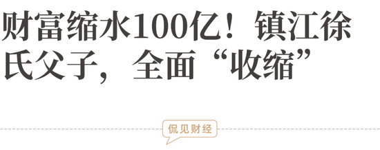 财富缩水100亿！镇江徐氏父子，全面“收缩”