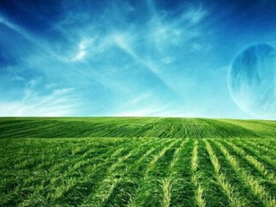 如何办理有土地使用证的房产过户？过户流程存在哪些注意事项？