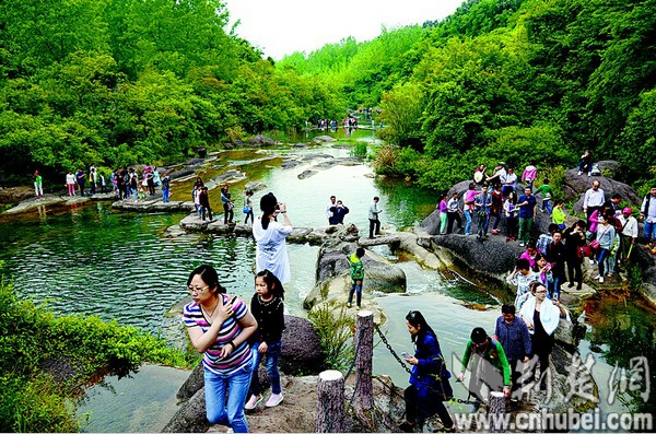 如何了解景区情况？茅山花谷奇缘有哪些特色与魅力？