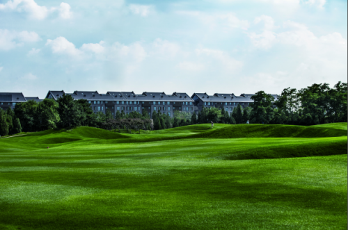 如何解决家居常见问题并保障生活品质？保障品质的有效方法有哪些？