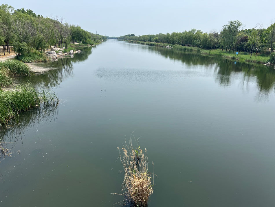 与化工厂为邻：高密友道工厂爆炸后的“多维冲击”