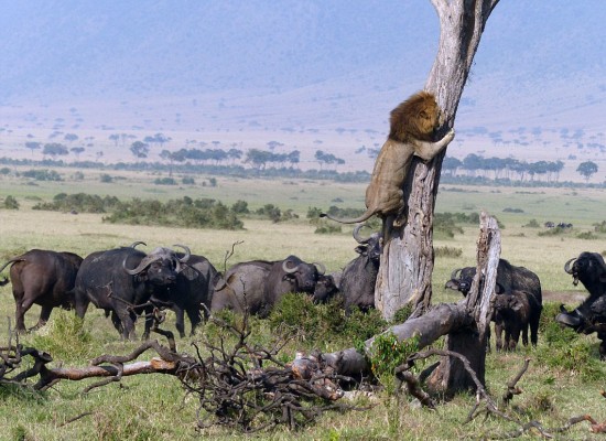 如何了解一处公园的具体情况？成都兴隆湖公园有哪些特色可关注？