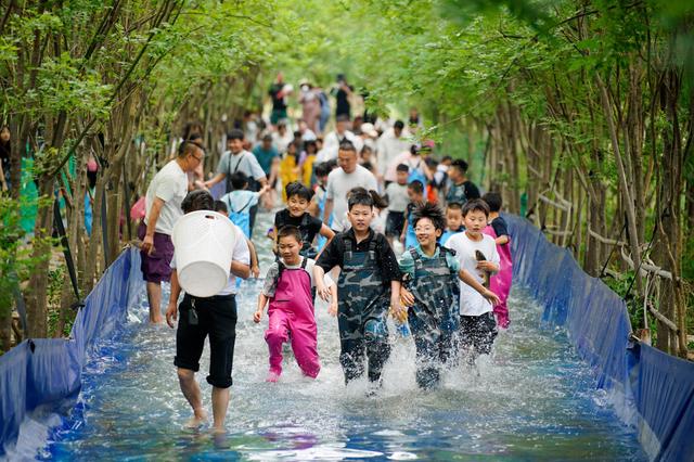端午小长假“好玩不贵”:周边游出游人次占比近50%,主题乐园景区最受欢迎