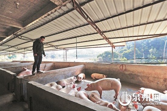 如何评价猪兼强驾校？评价它有哪些重要依据？