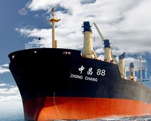 如何理解海运费用计算依据？计算依据对运输成本有何影响？