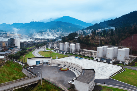 川酒集团,谁该对国有资产流失负责?