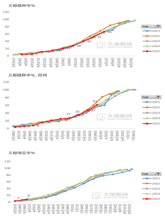 棉花：矛盾在解决中，但效果有限