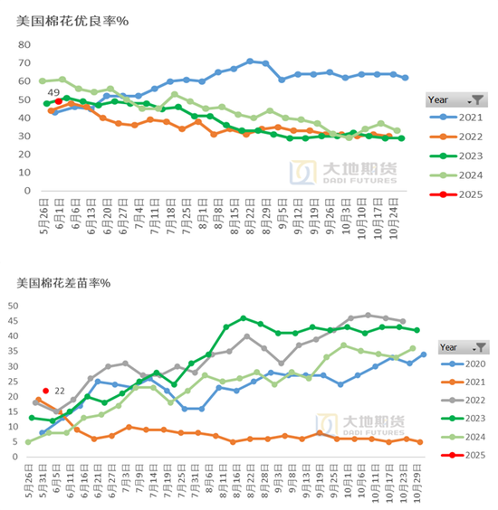 棉花：矛盾在解决中，但效果有限