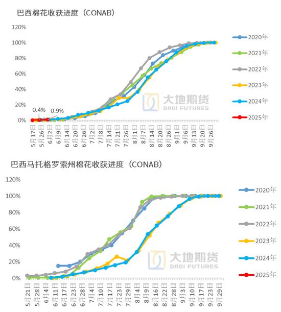 棉花：矛盾在解决中，但效果有限